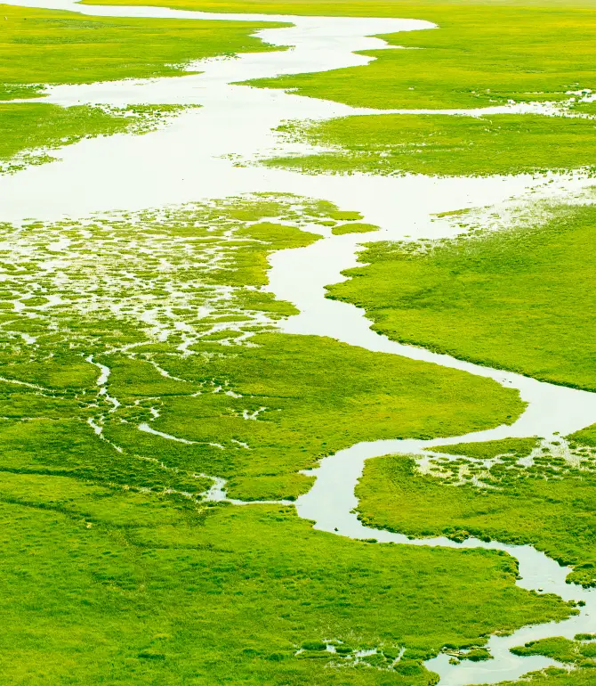 Bayanbulak Grassland