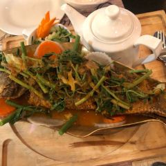 Kat's Kitchen User Photo