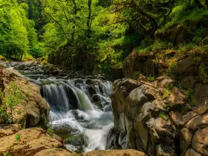 Hirkan National Park