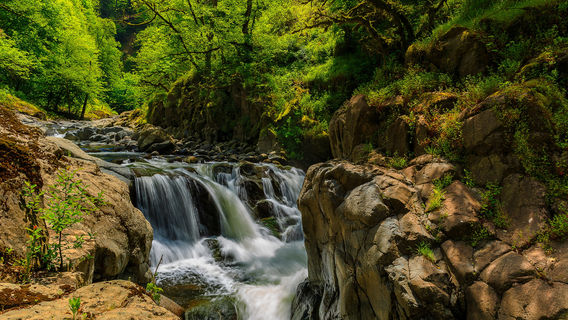 Hirkan National Park