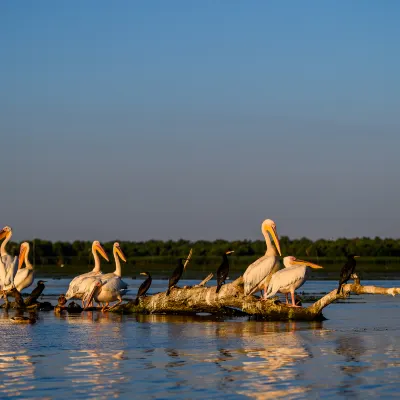 Отзывы об отеле Homeinn · neo (Qiqihar Longnan Street)