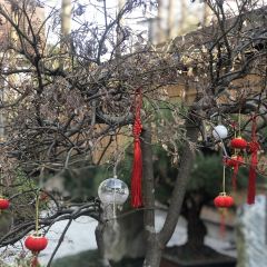 南苑·铁板烧 User Photo