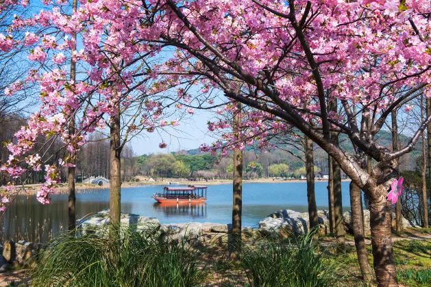 Pinghu Xinggang Hotel