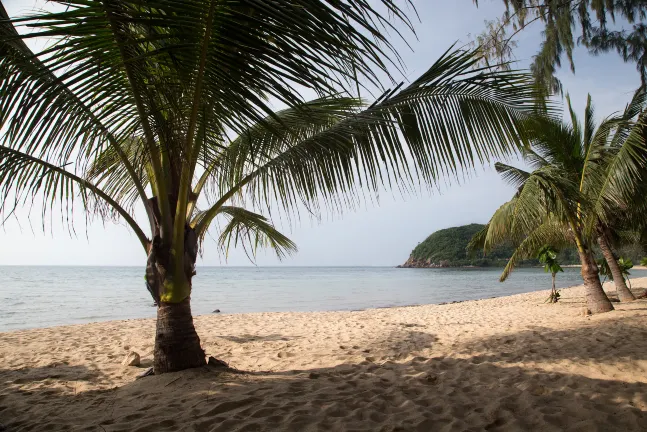 Хоумстей в г. Тайшань