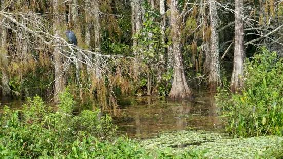 撈漁河濕地公園