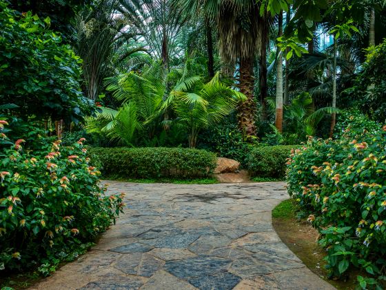 Botanische Gärten von Singapur