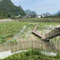 Spectacular Yangshuo Tea Cozy Inn 