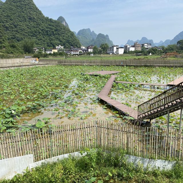 Spectacular Yangshuo Tea Cozy Inn 