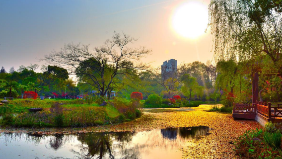 สวนสาธารณะชิงซาน