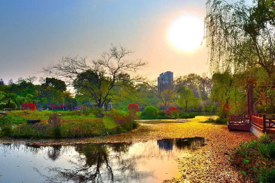 Qingshan Park