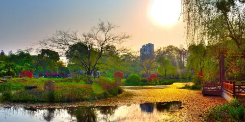 青山公園