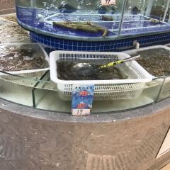 周记海鲜(河南路店) 여행 사진