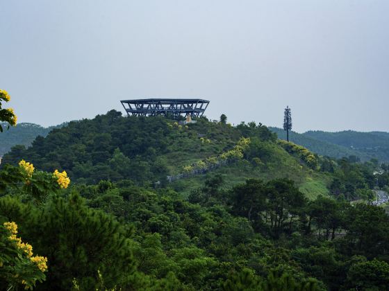 Qinzhou Garden Expo Park