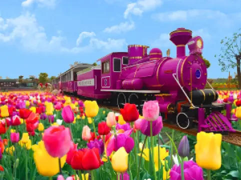 花博匯(知音花月夜)