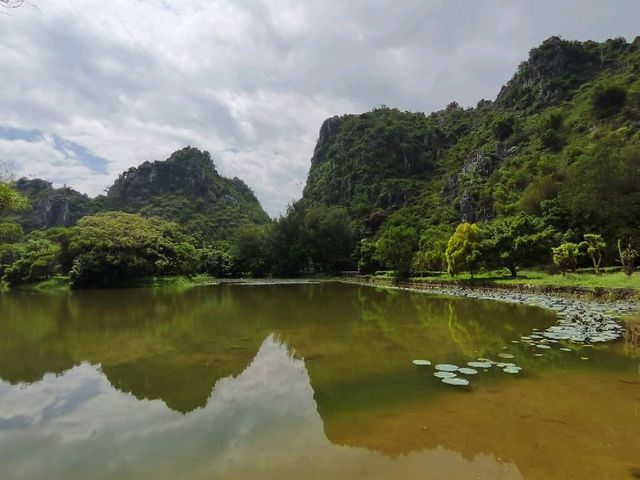 Longzhu Lake| Natural Combination