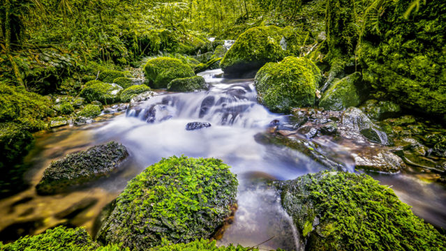 Tianbao Yanziran Protection Zone