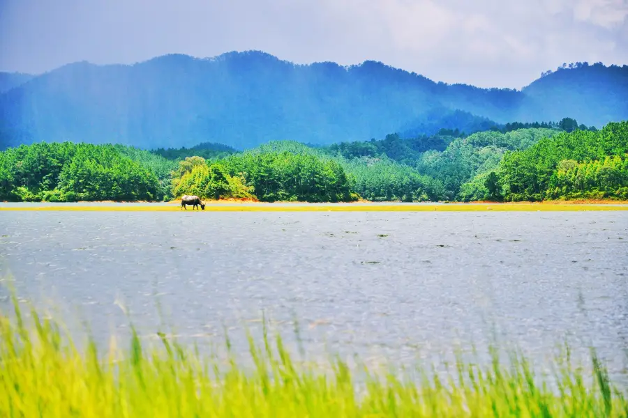 The Xuehuang Grassland