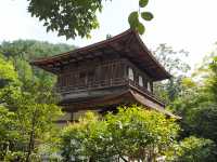 落ち着いた雰囲気の「銀閣寺」