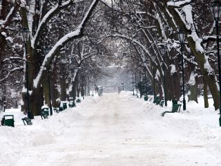キエフからクラクフ行きのLCC飛行機