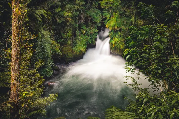 Flights from Auckland to Rotorua