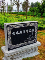 Jinxiang Jinshuihu National Wetland Park