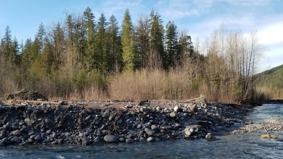 Mount Baker-Snoqualmie National Forest