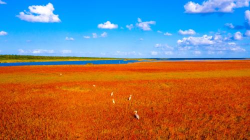 Tiaozini Scenic Area