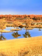 룬타이현 사막공원