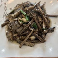 老鄉村農莊張用戶圖片