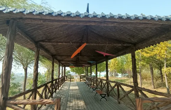 研山景區騎馬體驗大小同價