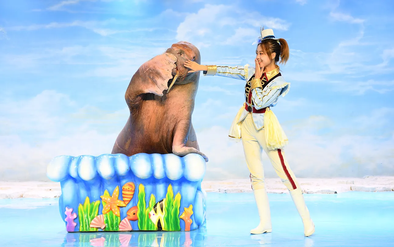 2_哈爾濱極地公園·海洋館