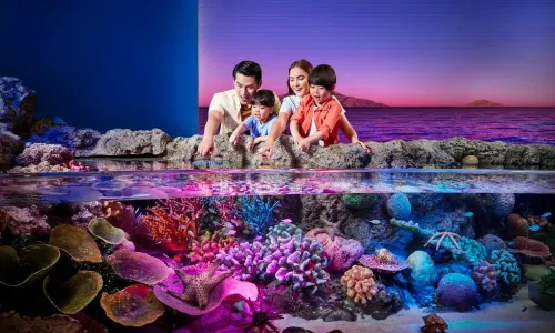 SEA LIFE Bangkok Ocean World
