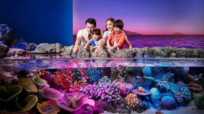 2_曼谷暹羅海洋世界