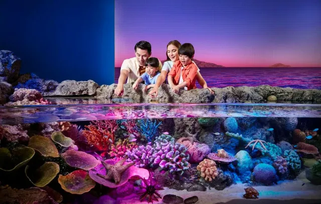 曼谷景點推薦#9 曼谷暹羅海洋世界 SEA LIFE Bangkok Ocean World｜曼谷體驗