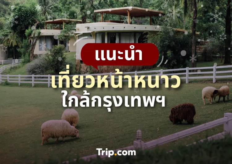 หนาวนี้เที่ยวไหนดี แนะนำที่เที่ยวหน้าหนาวใกล้กรุงเทพฯ 2569