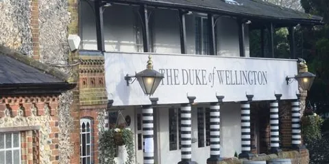 The Duke of Wellington