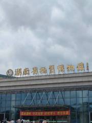 Hunan Provincial Museum of Geology