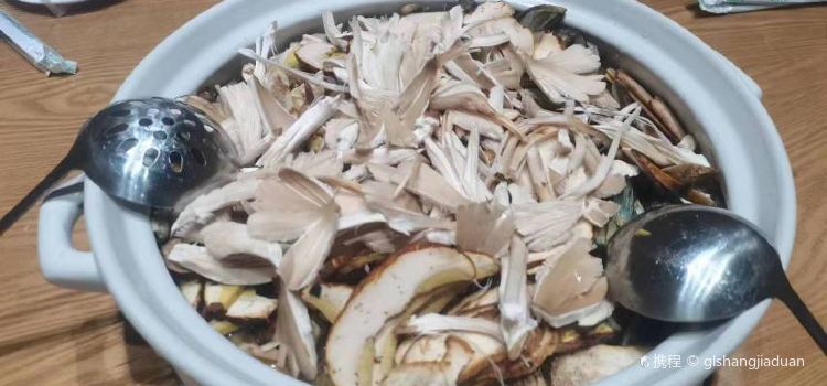 原林野菌王