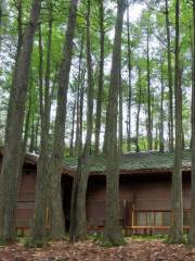 Iwate Prefectural Citizens' Forest Forestry Museum