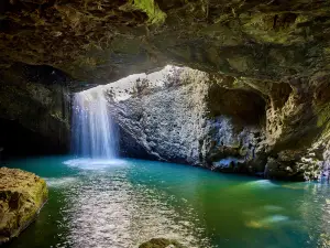 Springbrook National Park