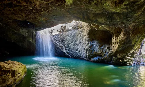 Springbrook National Park