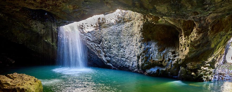 Springbrook National Park