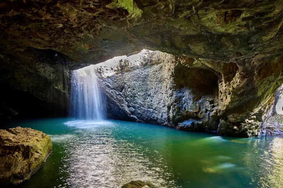 3_Springbrook National Park