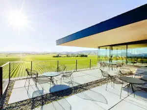 Brancott Estate Heritage Vineyard Site