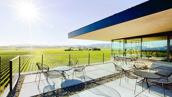 Brancott Estate Heritage Vineyard Site