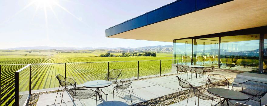 Brancott Estate Heritage Vineyard Site