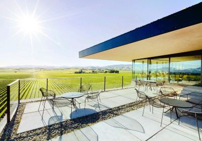 Brancott Estate Heritage Vineyard Site