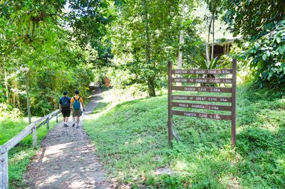 Niah National Park