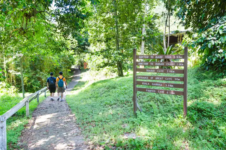 Hotels in Niah