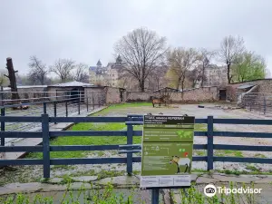 Зоопарк Almaty Zoo